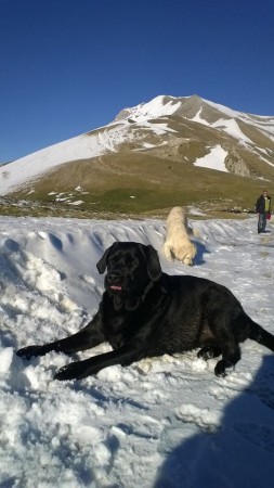 SISKA E LUNA SULLA NEVE DEL VETTORE